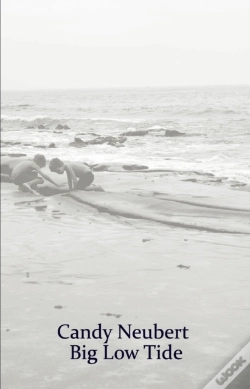 Capa do artigo Big Low Tide