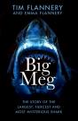 Big Meg - Preview