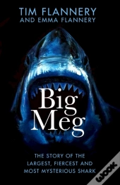 Big Meg