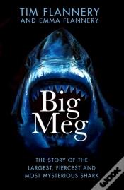 Capa do artigo Big Meg