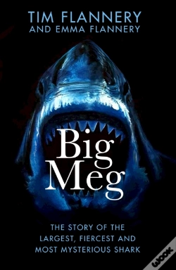 Capa do artigo Big Meg