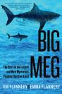Big Meg - Preview