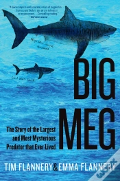 Capa do artigo Big Meg