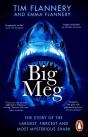 Big Meg - Preview
