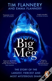 Capa do artigo Big Meg