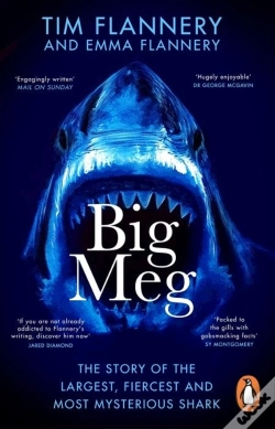 Capa do artigo Big Meg