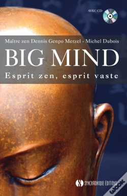 Capa do artigo Big Mind ; Esprit Zen, Esprit Vaste