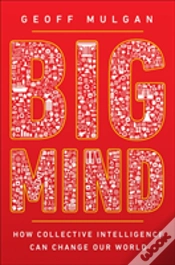 Capa do artigo Big Mind
