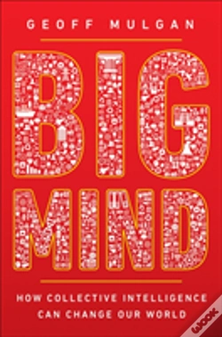 Capa do artigo Big Mind