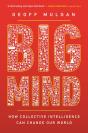 Big Mind - Preview