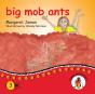 Big Mob Ants - Preview