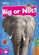 Big Or Not?