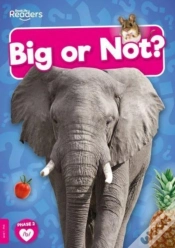 Capa do artigo Big Or Not?