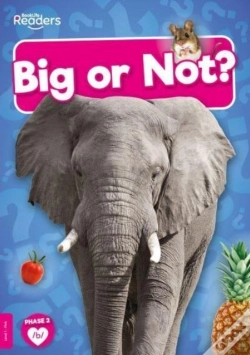 Capa do artigo Big Or Not?