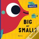 Big Or Small?