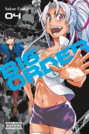 Capa do artigo Big Order, Vol. 4