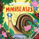 Big Outdoors For Little Explorers: Minibeasts