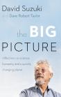 Big Picture - Preview