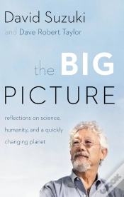 Capa do artigo Big Picture