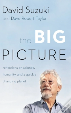 Capa do artigo Big Picture