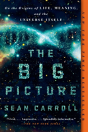 Big Picture - Preview