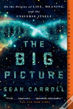 Capa do artigo Big Picture
