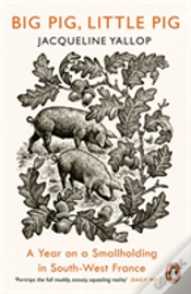 Capa do artigo Big Pig, Little Pig