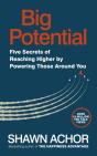 Big Potential - Preview