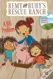 Capa do artigo Big Problem
