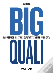 Capa do artigo Big Quali : La Puissance Des Études Qualitatives À L