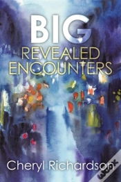 Capa do artigo Big Revealed Encounters