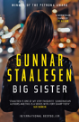 Big Sister - Preview