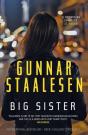 Big Sister - Preview