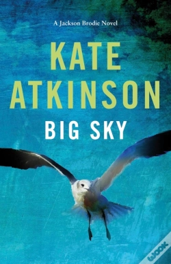 Capa do artigo Big Sky