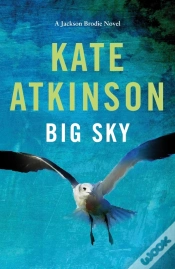 Capa do artigo Big Sky