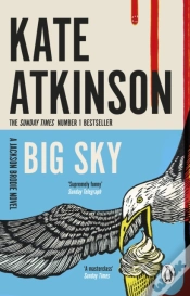 Capa do artigo Big Sky