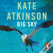Capa do artigo Big Sky