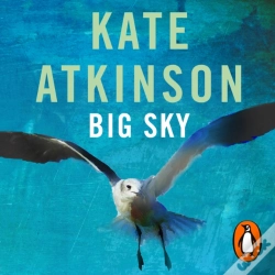 Capa do artigo Big Sky