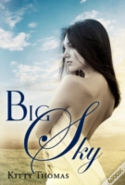 Capa do artigo Big Sky
