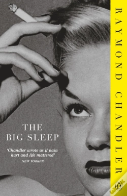 Capa do artigo Big Sleep