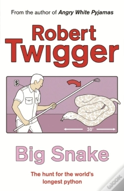 Capa do artigo Big Snake