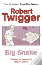 Capa do artigo Big Snake