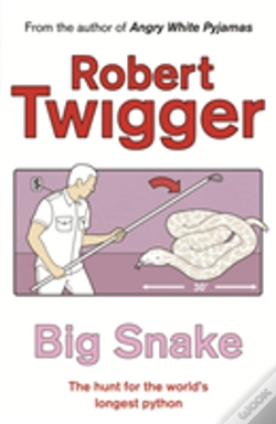 Capa do artigo Big Snake