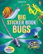 Big Sticker Book Bugs - Preview
