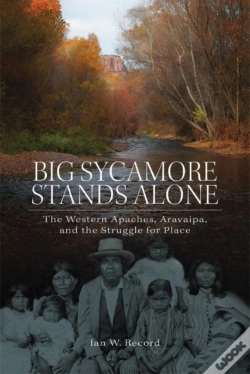 Capa do artigo Big Sycamore Stands Alone