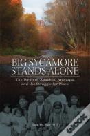 Big Sycamore Stands Alone