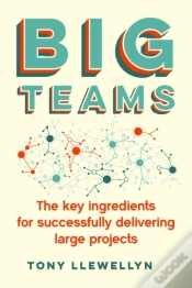 Capa do artigo Big Teams