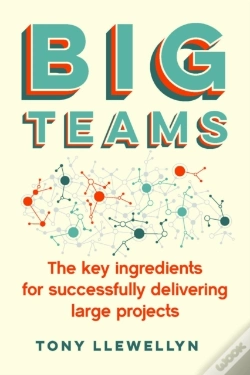 Capa do artigo Big Teams