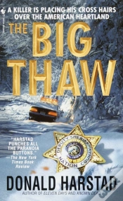 Capa do artigo Big Thaw