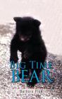 Big Time Bear - Preview